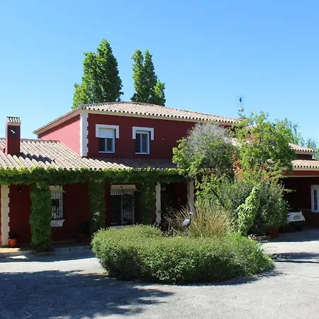 Picachos 10 روندا