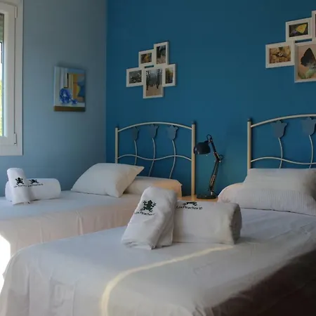 Picachos 10 روندا