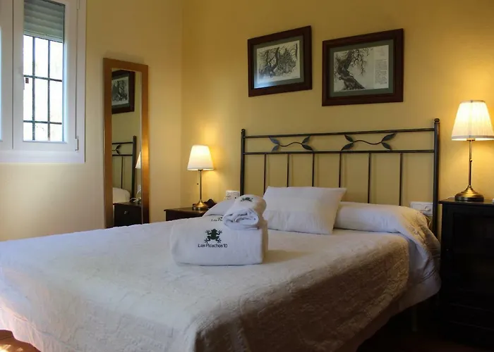 Villa Picachos 10 Ronda