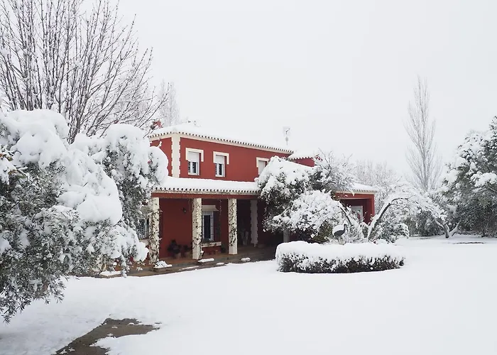 Villa Picachos 10 Ronda